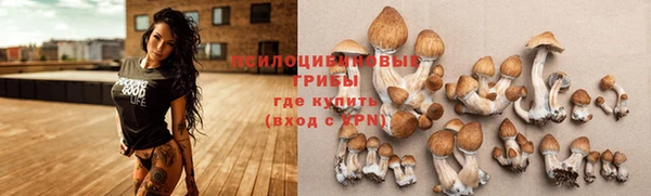 прущий лед Наволоки